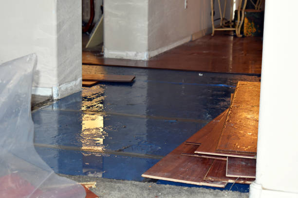 Professional Sewage Cleanup technician working in Makinen, MN